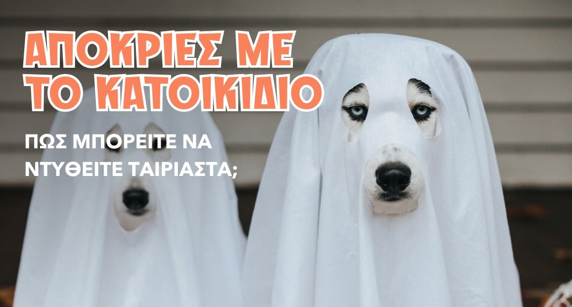 Απόκριες με το κατοικίδιό σου; Πώς μπορείτε να ντυθείτε ταιριαστά;