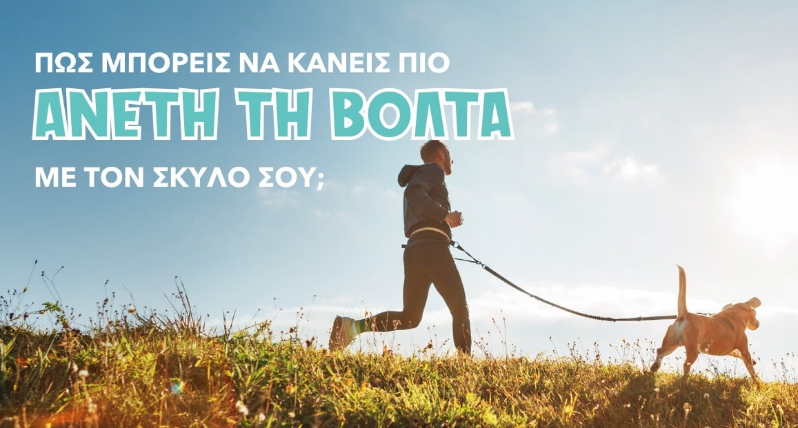 Πώς μπορείς να κάνεις πιο άνετη τη βόλτα με το σκύλο σου;